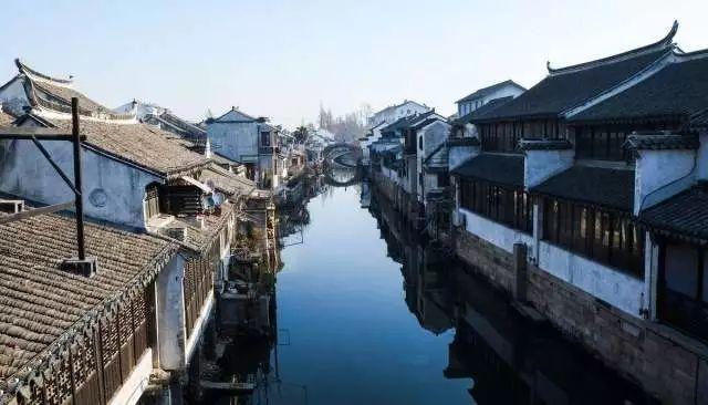 绿色叶子中间是白色叶子是什么品种的多肉游戏画面