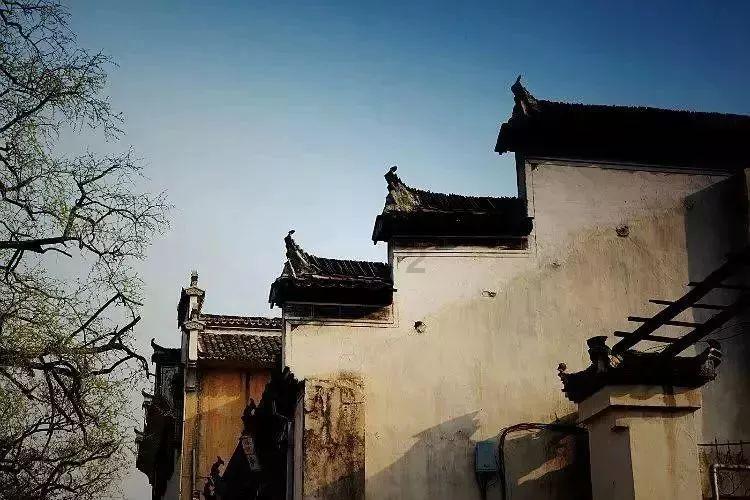 逗小猴开心系列206